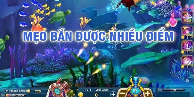 hip club đá gà