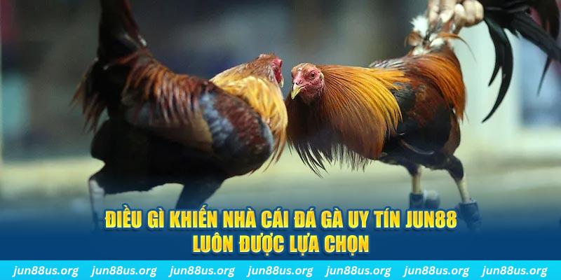 hip club bắn cá 30