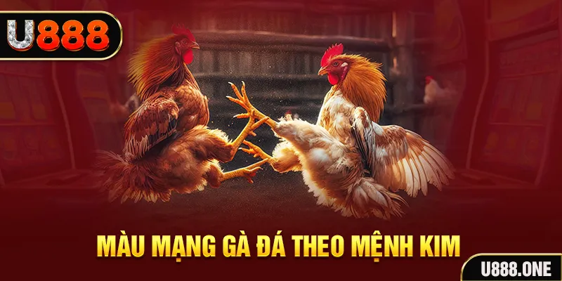 hip club gà chọi tiêu phong