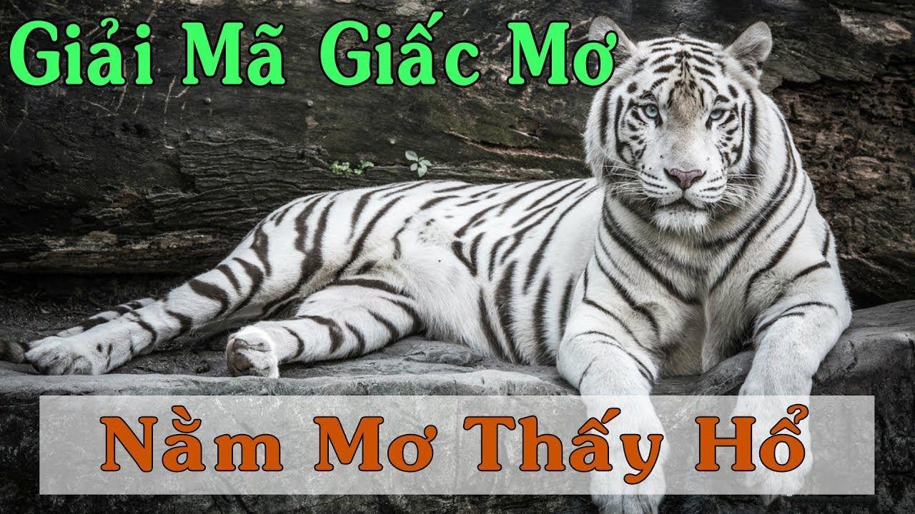 hip club xổ số miền trung