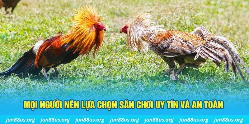 hơn cả bạn bè