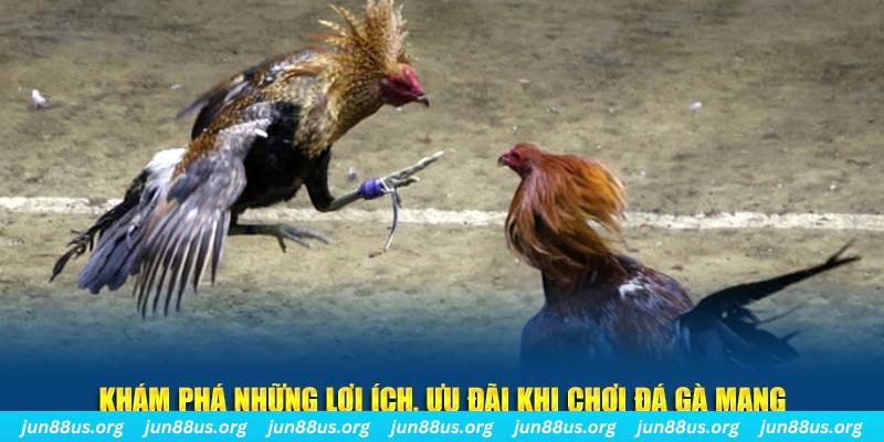 hip club Tài Xỉu 2