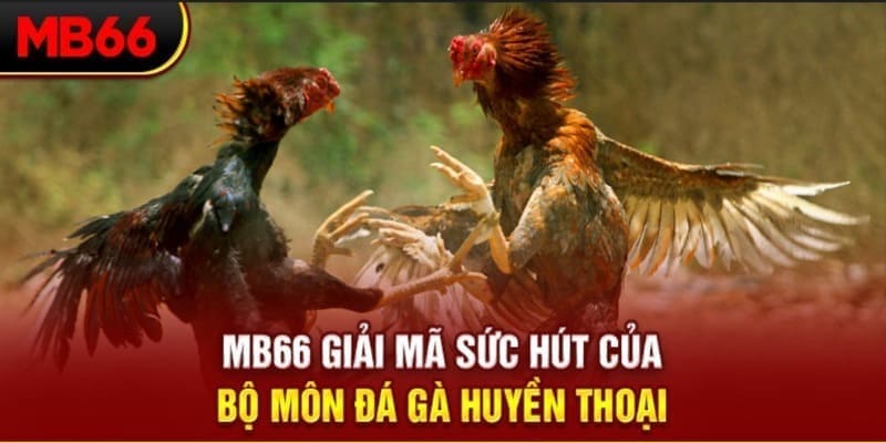 hip club long bảo trong baccarat là gì