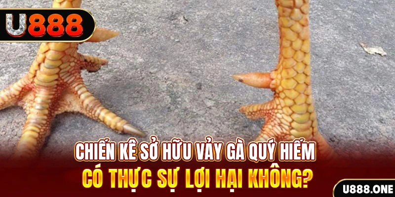 hip club game cá cược máy bay