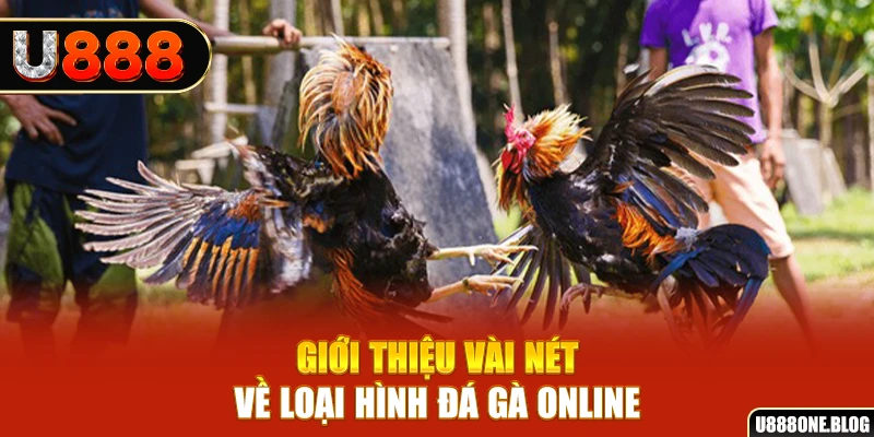 hip club xổ số miền nam thứ ba