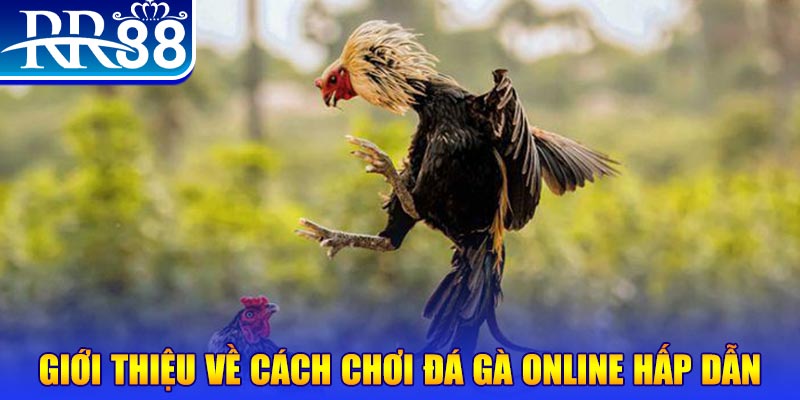 hip club nổ hũ 2 mặt là gì