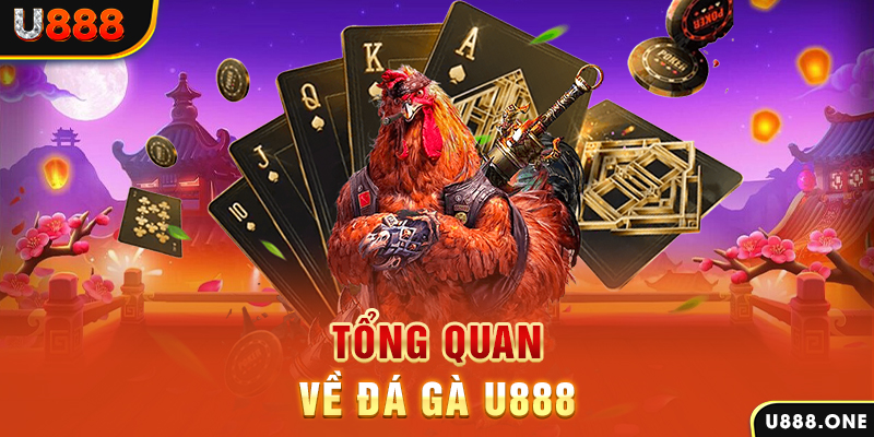 hip club chạy quảng cáo cho game bài bị phạt như thế nào